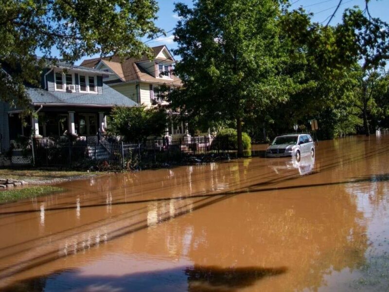 These are tips to revive your car after