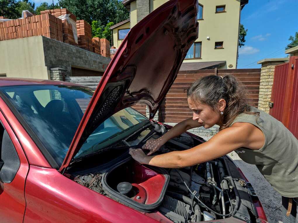 Maintenance of some parts of the car yourself ... in your home