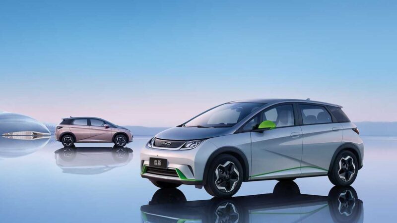 byd dolphin
